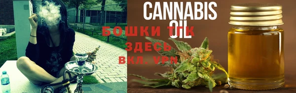 ECSTASY Магас